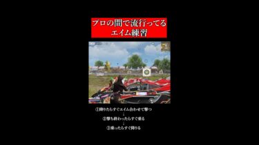 【荒野行動】プロの間で流行ってる！車周りの立ち回りが上達するエイム練習【#shorts 】