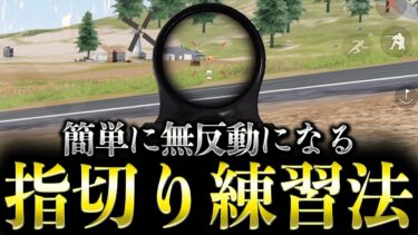 【簡単に無反動】指切りが上手くなる練習方法を徹底解説します【荒野行動】