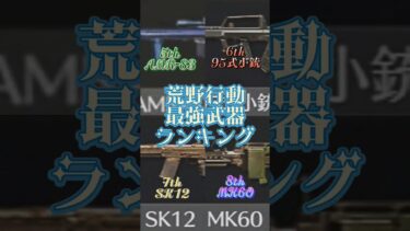 #荒野行動 #最強武器 #ランキング