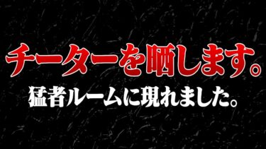 猛者ルームにいたチームがチーター軍団なので晒します。【荒野行動】