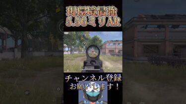 今はこの銃が最強ARですwww【荒野行動】