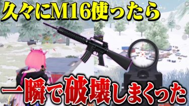 久しぶりにM16使って無双したったwww【荒野行動】