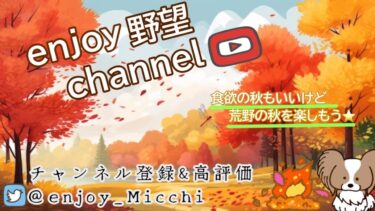 10/14（月）夜Ver.【荒野行動/視聴者参加型LIVE配信】みっちゃん実況(*^^)v ※概要欄必読してから遊びにきてね♪