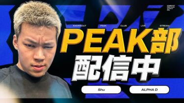 【縦配信】久しぶりPEAK部【荒野行動】