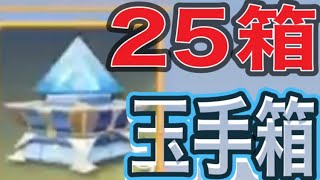 ＃ペニンシュラ大脱走「25箱開封」検証【荒野行動】1355PC版「荒野の光」[7周年も荒野でいこうや」