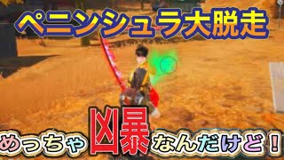 【夜の部】やらないか！【荒野行動】1459PC版「荒野の光」「7周年も荒野でいこうや」