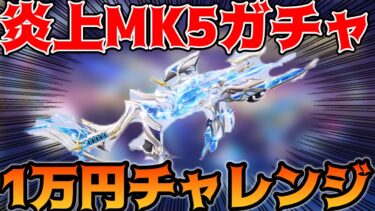 【荒野行動】炎上中の弾倉増えるSP版MK５ガチャ天使と悪魔のワルツ1万円チャレンジで素引き狙ってみた！