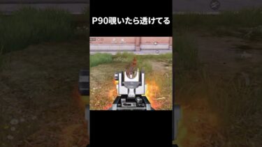 p90覗いたら透明になってるばぐみたい【荒野行動】