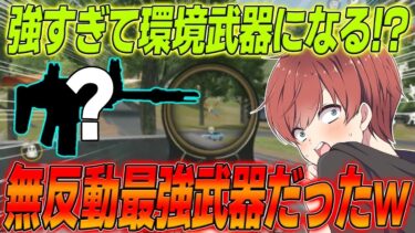 【荒野行動】反動が少なくて高火力なあの隠れた強武器で無双してきたwww