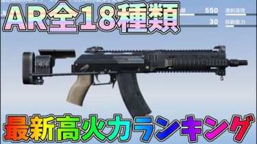 S40最新版！全AR18種類で最も高火力なのはまさかのあの武器！そして最弱は意外にも・・・！【荒野行動】#1302 Knives Out