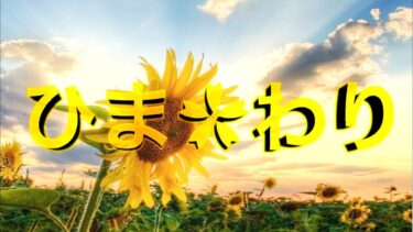 【荒野行動】 エンジョイ勢のキルクリップ集2