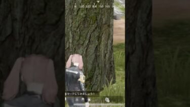 【荒野行動】初心者が始めるとどうなるのか【無言】＃ゲーム実況
