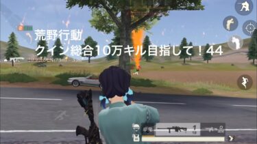 【荒野行動】クイン総合10万キル目指して！44【キル集】