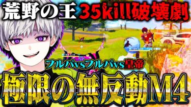 【極み】無反動M4で初動からフルパまでぶち抜きまくった35キル破壊【荒野行動】