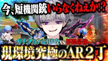 【究極】ぶっ壊れAR２丁持ちでフルパ破壊出来る時代になりました。【荒野行動】