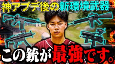 【新環境】全荒野民が絶対に持つべき武器が決定しました。【荒野行動】