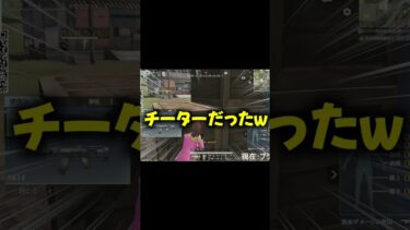 【荒野行動】このチーター視点面白すぎるwww