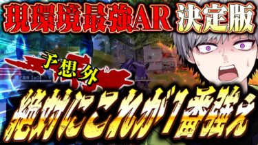 【衝撃神回】現環境最強のARは絶対にこの武器です。【荒野行動】