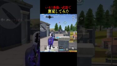 現環境Tier1武器▶︎PP2000【荒野行動】