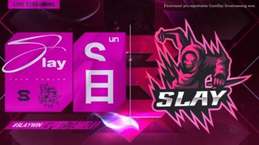 【荒野行動 パピコ視点【Slay / ゴルタイ】