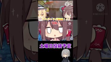 次回の動画！！#荒野行動 #ゆっくり実況 #そる式立ち絵