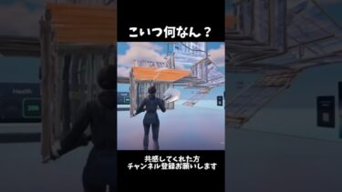 こいつ何なん？【フォートナイト】#フォートナイト #フォトナ #上手いと思ったら高評価 #fortnite #かっこいいキル集 #荒野行動 #人気になりたい #shorts