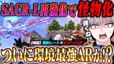 【環境AR検証】アプデで再強化されたSACR-Lがついに最強無反動武器になりました【荒野行動】