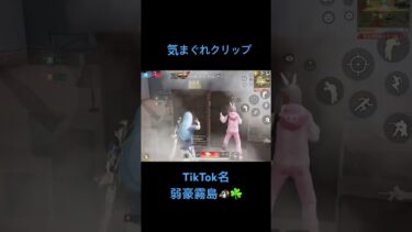 気まぐれで取りましたw #荒野行動 #荒野行動キル集