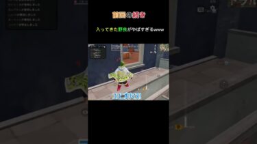 #荒野行動 #ゲーム実況 #ゲーム #荒野再開祭 #荒野行動純金配布 まさかの野良が面白かったww